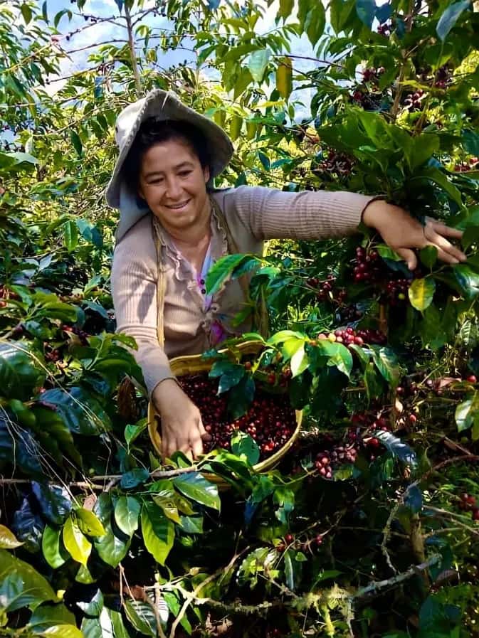 Esmérita Vásquez Ramírez | Farm Washed