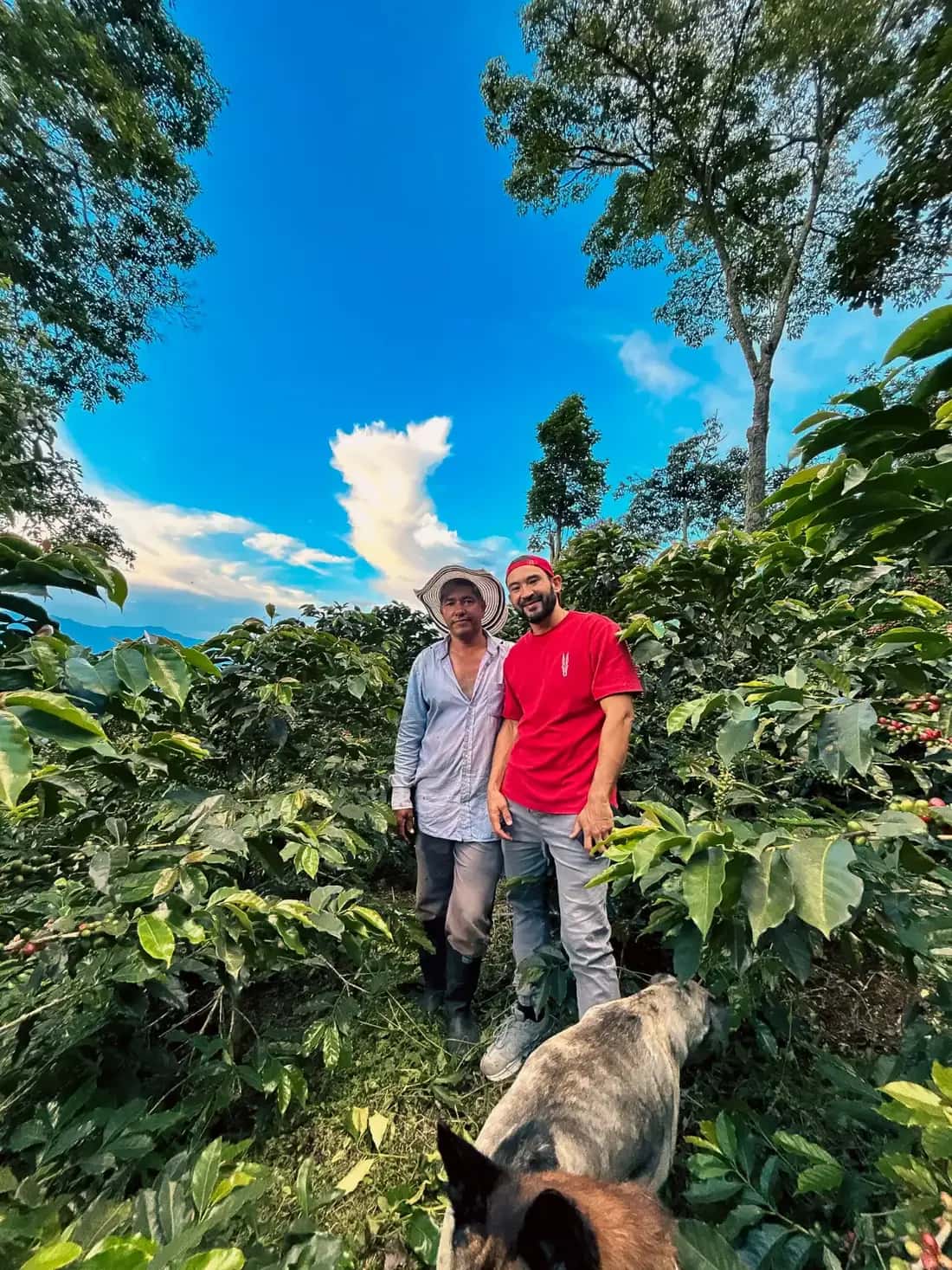 José Mario Angel & Alvaro Betancur / Sumatra Washed