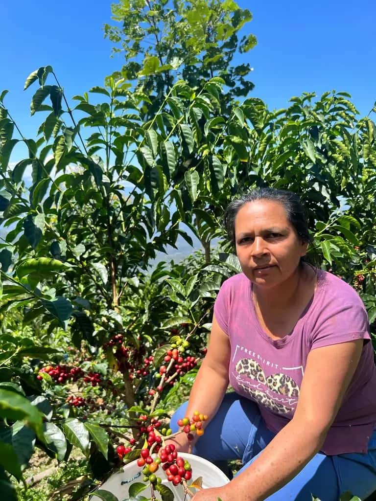 María Nieves Tantalean - Blend Washed